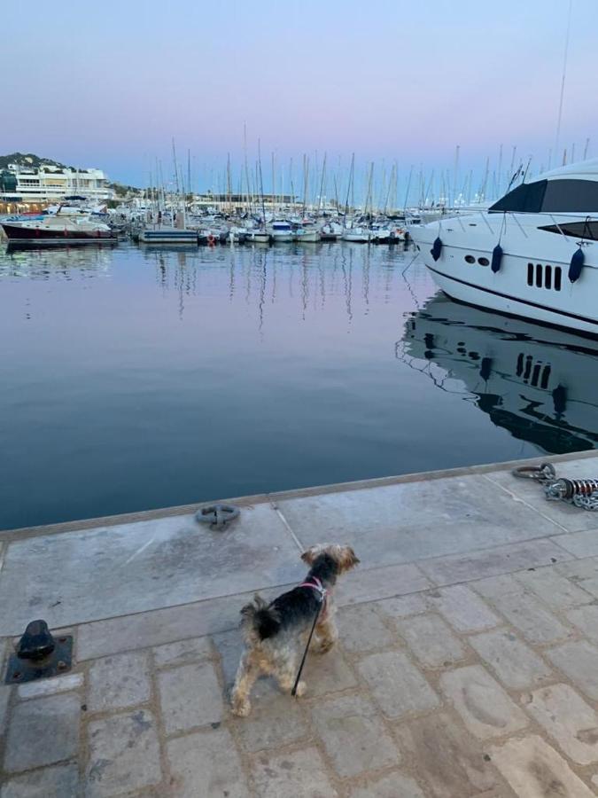 Cannes Old Port, Seafront & Seaview, Yacht Show Port Buitenkant foto